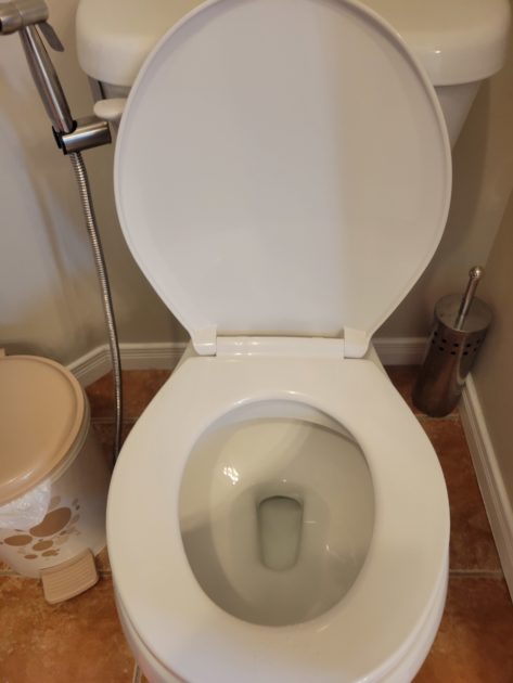 clean toilet