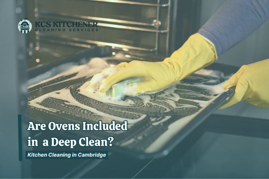Woman wearing yellow gloves scrubbing the inside of an oven